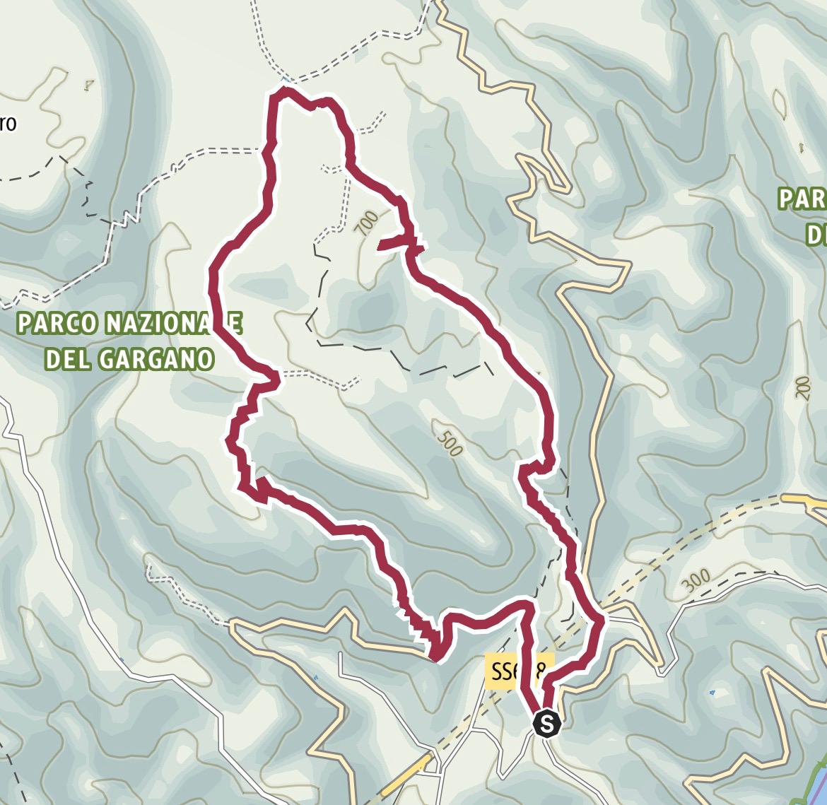 Monte sacro anello