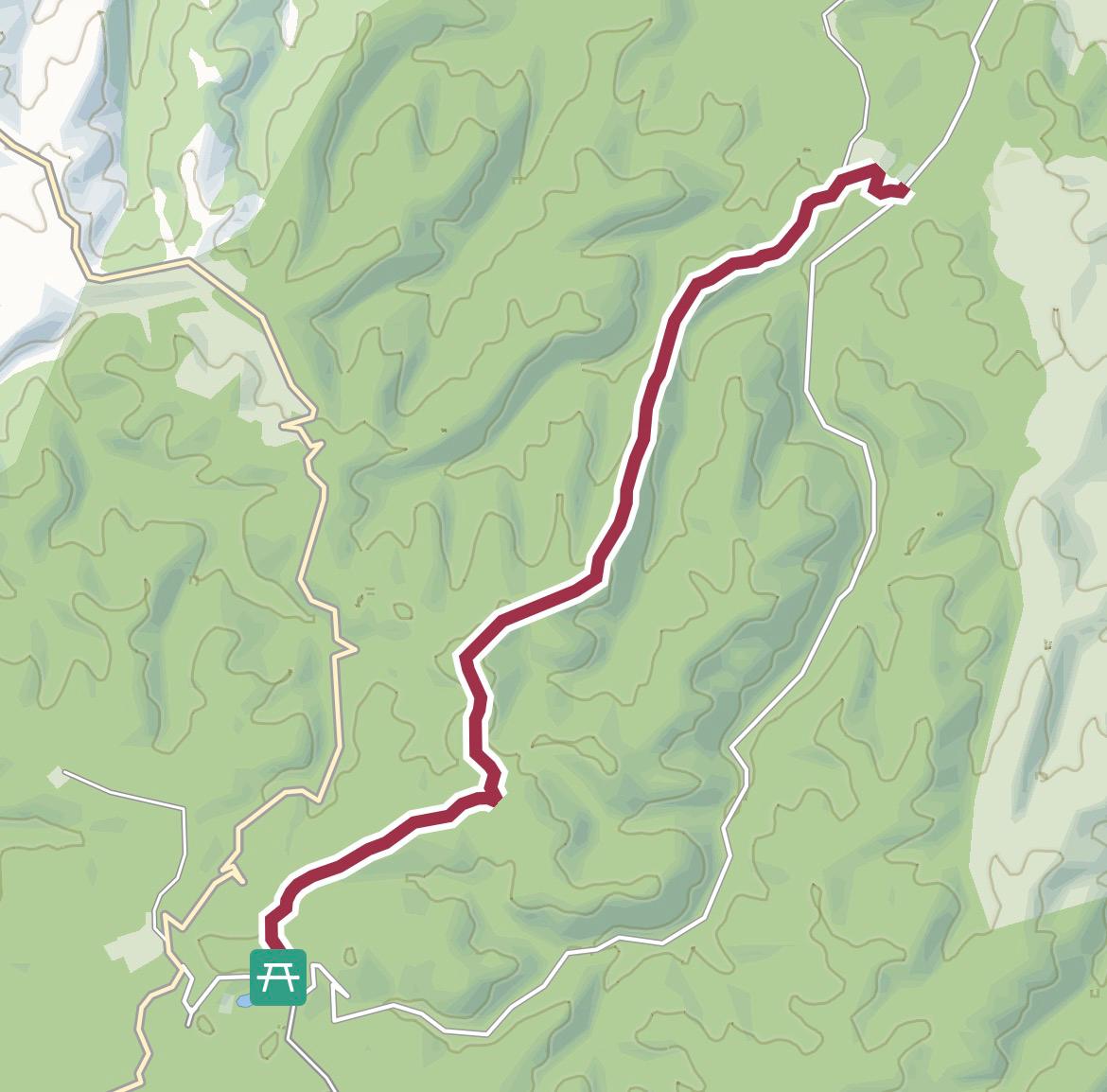 Percorso foresta umbra