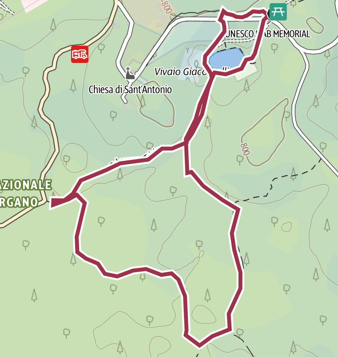 Attraverso la foresta umbra del Gargano
